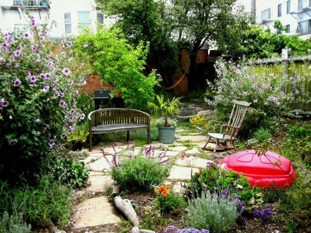 Transform Your Backyard To an Outdoor Oasis